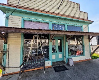 Alley's Vintage Shoppe