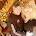 Berkeley Springs Antique Mall