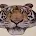 Downtown Antiques-Collectibles