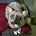 Restless Acres Antiques LLC