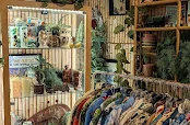 Retro Ranch