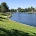 St. Louis Estate Buyers