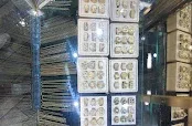 Treasures Jewels