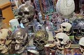 Ye Olde Curiosity Shop